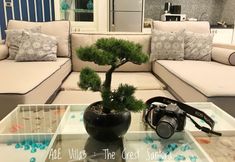 Lobby 2 A2E Villa 3 The Crest Santora Hua Hin