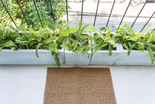 Common Space VACATION BANGKOK