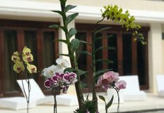 Exterior 7 Pentagon Villa Bali