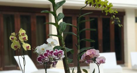 Exterior 2 Pentagon Villa Bali