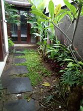 公共空间 4 Bali Senia Villas