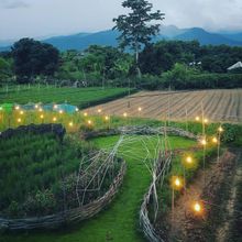 Exterior 4 Chic 39 Bed Bar & Bakery