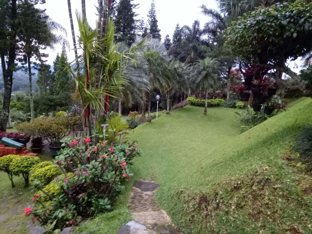 Nearby View and Attractions 7 Villa Luhur Cisarua