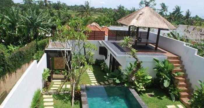 Swimming Pool Villa Red Wood Forest