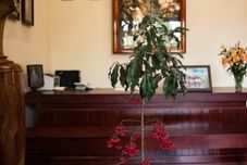 ロビー Spring Garden Villa