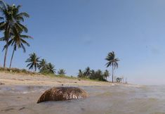 Tempat Tarikan Berdekatan 7 East Lombok Dive Hotel