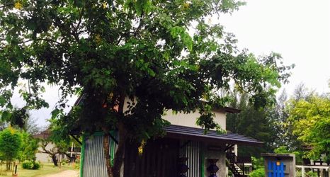 로비 2 The Hip Resort @ Khao Lak