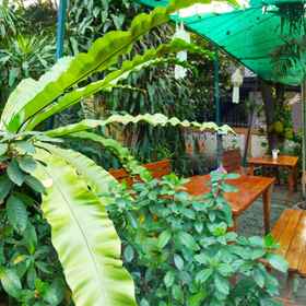 Jungala House 1, Hotel cieste.cnx