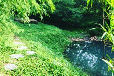 公共空間 Momor the Farm