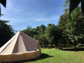 外觀 4 Momor the Farm