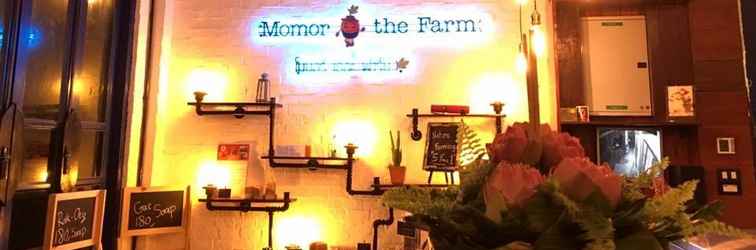 Lobby Momor the Farm 
