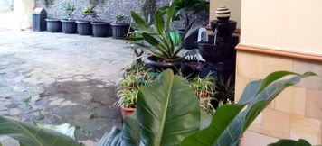 大堂 6 Homestay Demangan