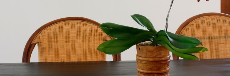 로비 The Apartments Ubud