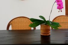 로비 The Apartments Ubud