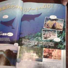 Raja Ampat Dive Lodge 6, Hotel Pasir Timbul Raja Ampat