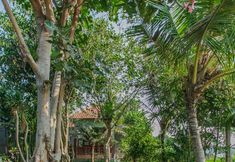 외관 3 Villa D'Carik Bali