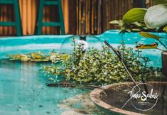 スイミングプール 2 Time Sabai 134