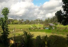 近くの景色と観光スポット 3 Villa Uma Dangin