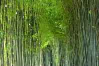 Khu vực công cộng Bamboo Grove Chiangmai