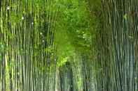 Common Space Bamboo Grove Chiangmai