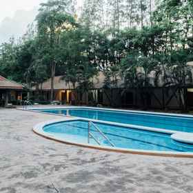 Swimming Pool1The Pine Resort,วัดถั่วทอง飯店