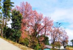 Nearby View and Attractions 3 Win Unity Hotel (Kan Pat Let)