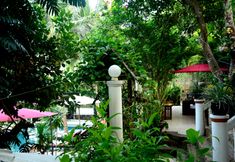 Common Space 7 Tropical Hill Kep