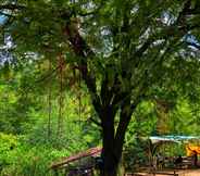 อื่นๆ 6 Forest Camping @ Antipolo