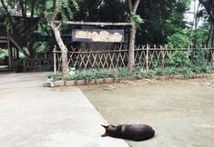 大堂 4 Tu Diep Homestay