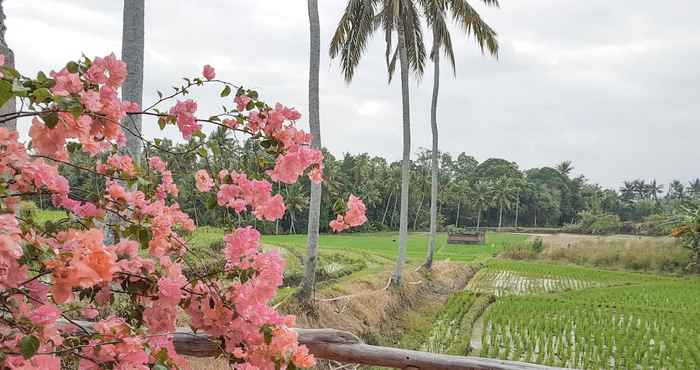 Nearby View and Attractions Coco Verde Villas