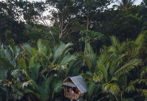 Exterior Riverside Native House