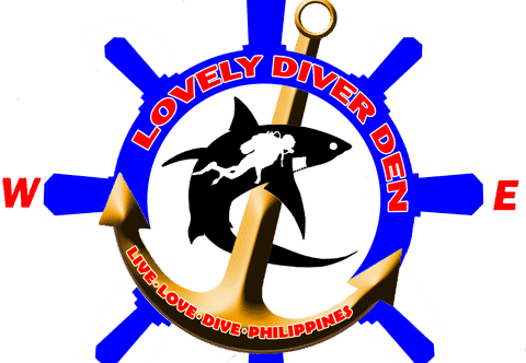 Accommodation Services Lovely Diver Den