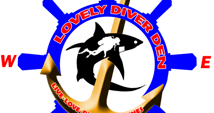 Accommodation Services Lovely Diver Den