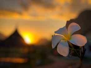 Kamar Tidur 4 Padaeng Mountain View Resort