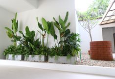 공용 공간 3 Triple Trees Residence