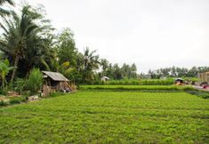 Điểm tham quan lân cận 2 Rumanero Villa