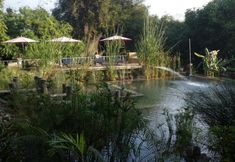 Hồ bơi 6 Zen Namkhan Boutique Resort