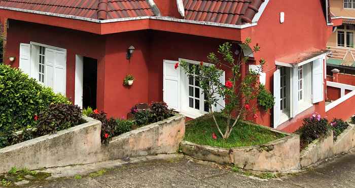 Atraksi di Area Sekitar Villa Tuoi Tre Da Lat