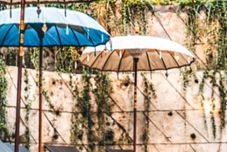 Swimming Pool The Jungle Villa Ubud