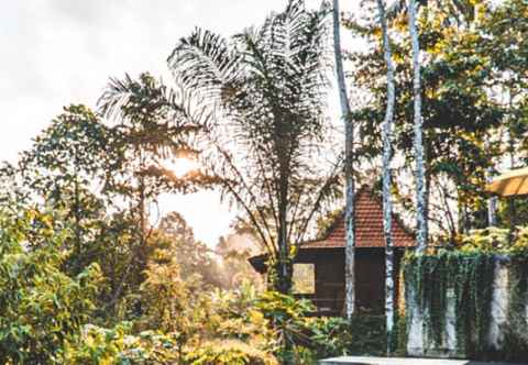 Exterior The Jungle Villa Ubud