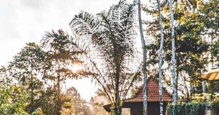 Exterior The Jungle Villa Ubud