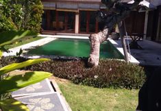 共用スペース 2 Villa New Baliku