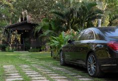 公共空间 6 Mane Family Vacation