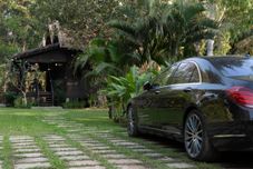 公共空间 Mane Family Vacation