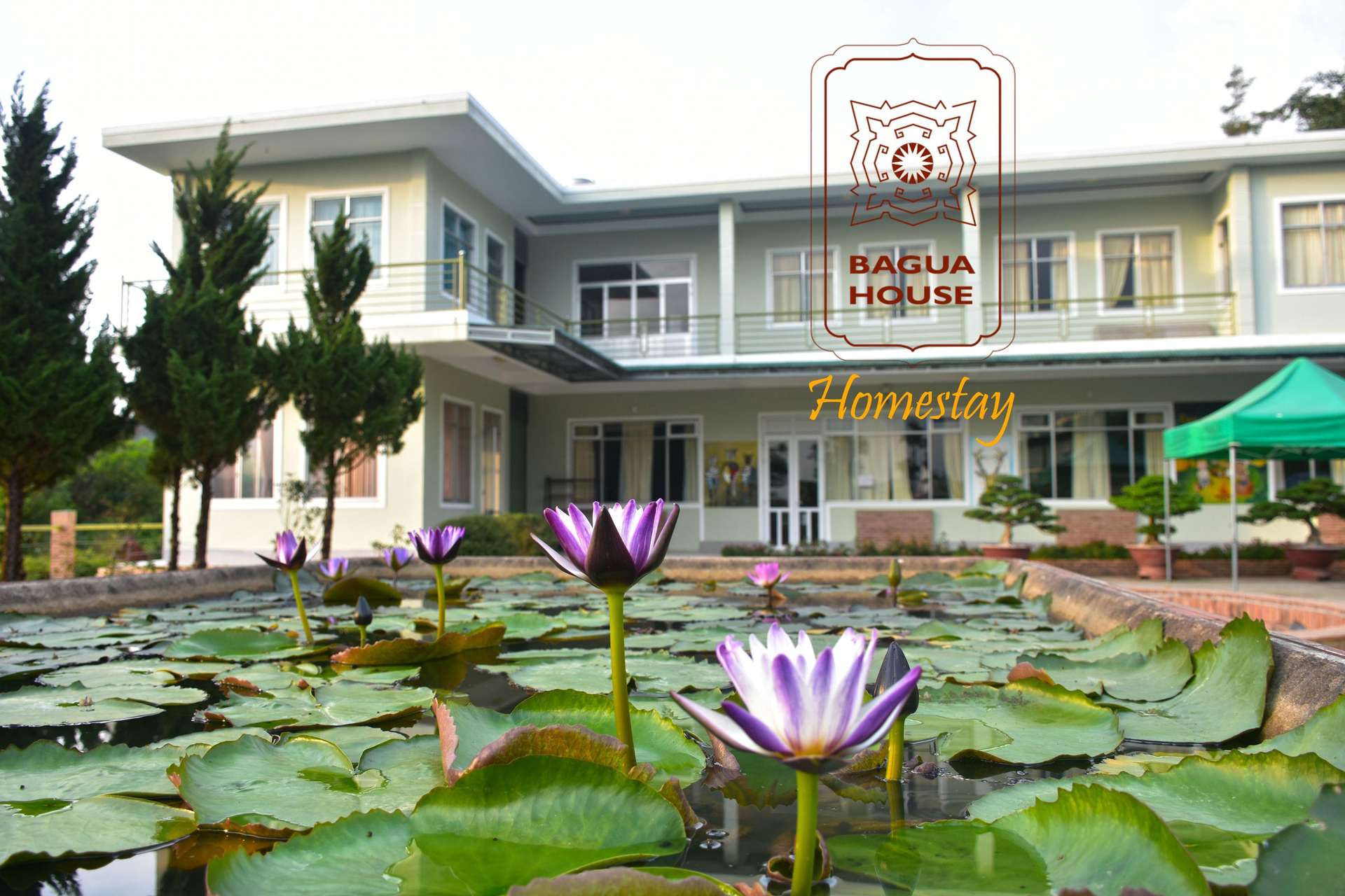 Bagua House Homestay Bao Loc - Homestay dưới 500.000 VNĐ ở Bảo Lộc