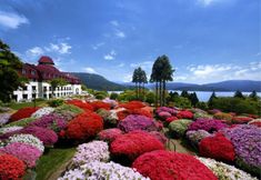 Others 3 Yamano Hotel