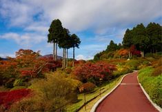 Others 5 Yamano Hotel