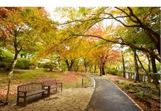 Others 2 Yamano Hotel