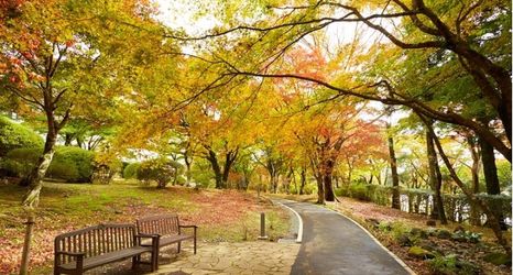 Others 2 Yamano Hotel