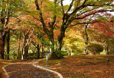 Others 6 Yamano Hotel